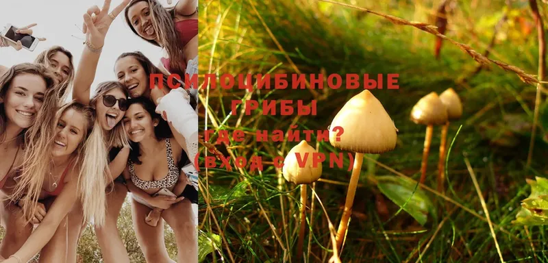 купить закладку  Миньяр  Галлюциногенные грибы MAGIC MUSHROOMS 